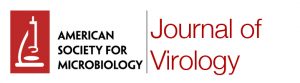 American Society for Microbiology | Journal of Virology
